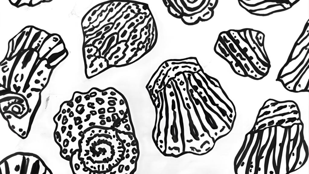 Seashell Summer Coloring Pages 🐚