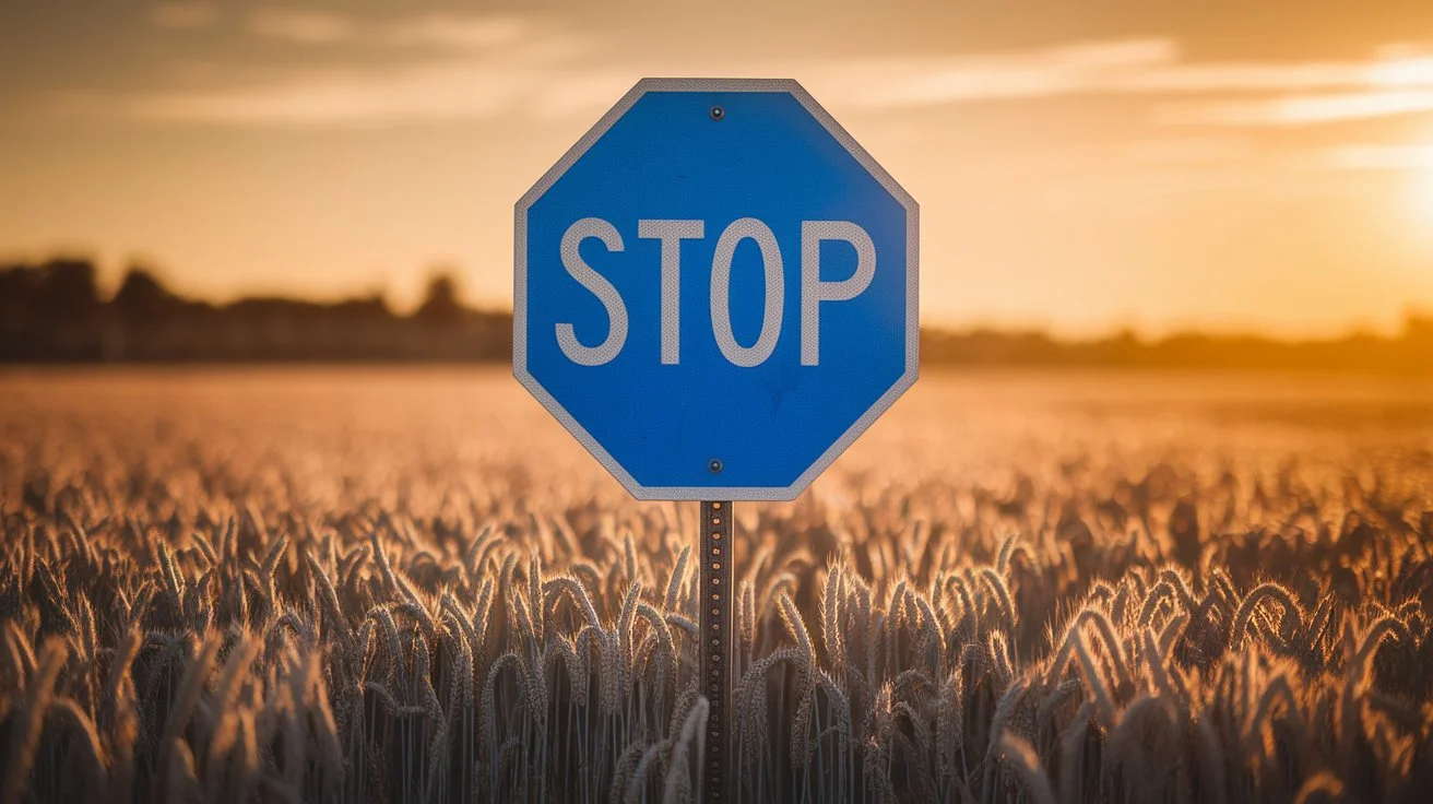 what does a blue stop sign mean